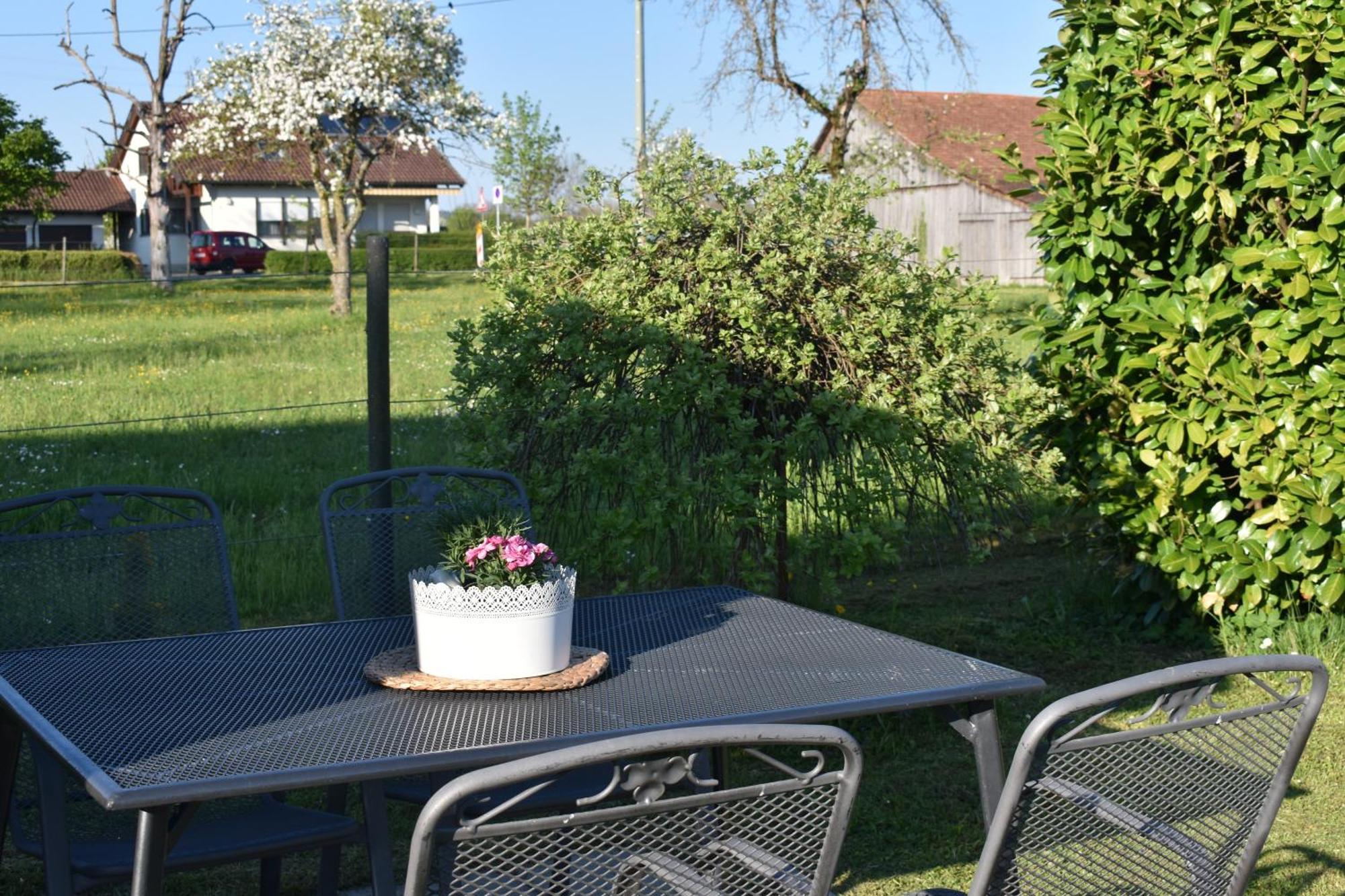 Ferien- Und Obsthof Dillmann Apartment Langenargen Exterior photo